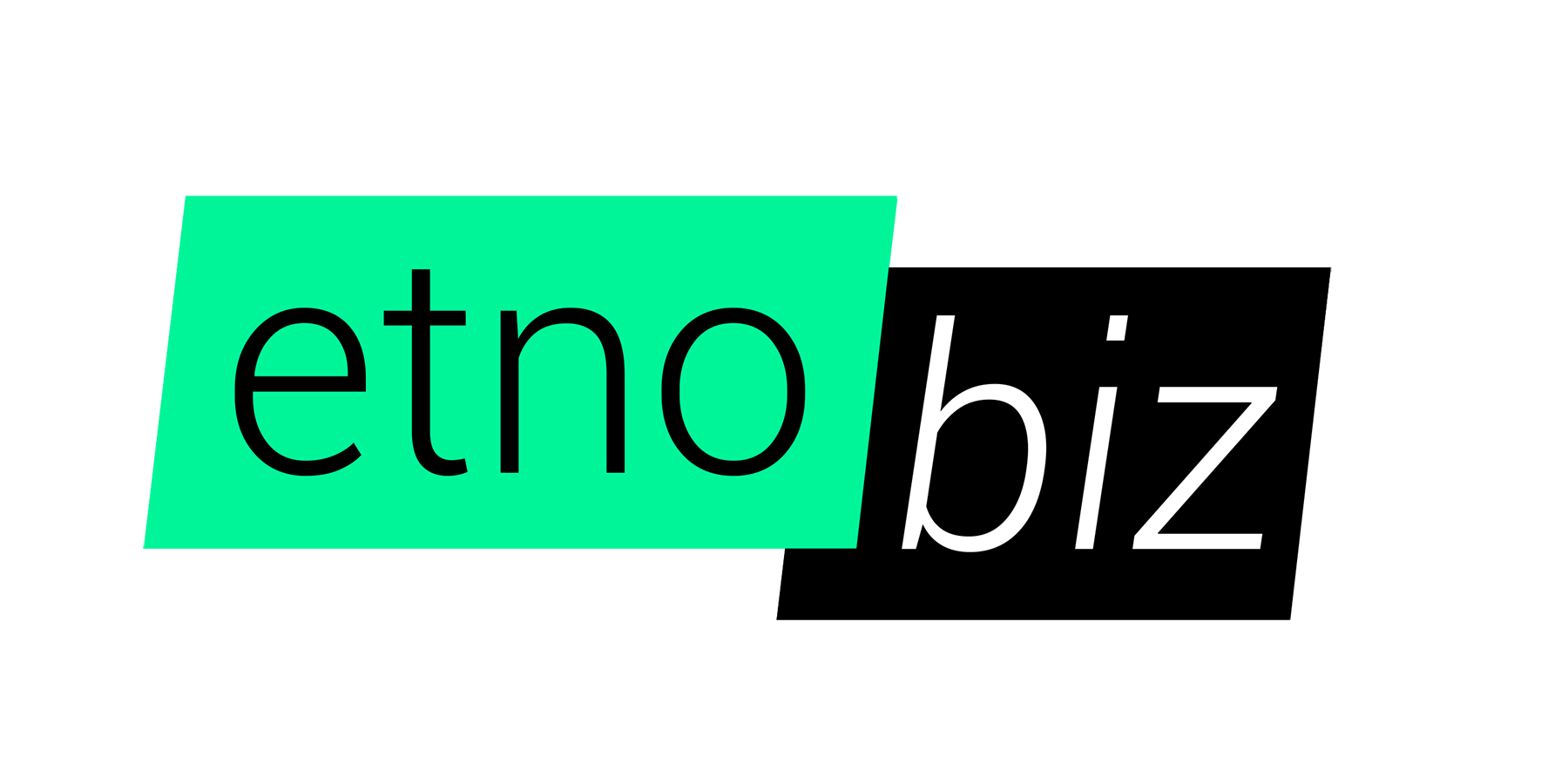 etnobiz logo 2021 big